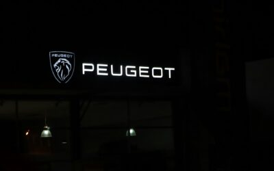 29 Cross-Channel Attribution Statistics for Auto Sales